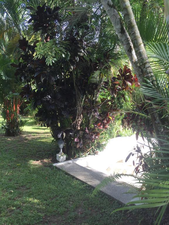 Magellan Boutique Hotel Cahuita Exteriér fotografie