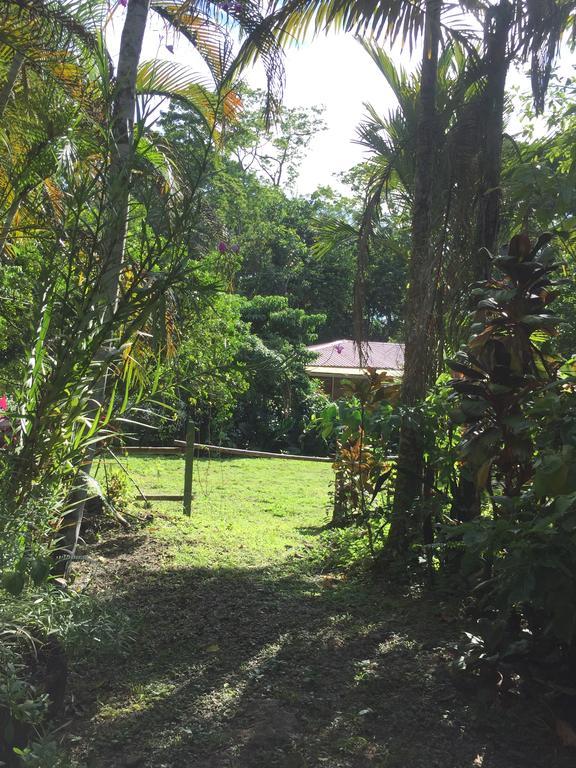 Magellan Boutique Hotel Cahuita Exteriér fotografie