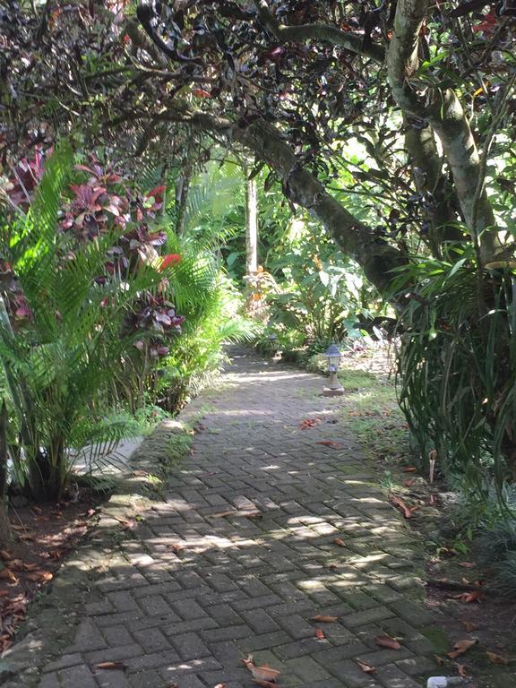 Magellan Boutique Hotel Cahuita Exteriér fotografie