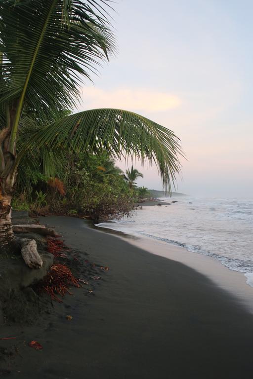 Magellan Boutique Hotel Cahuita Exteriér fotografie