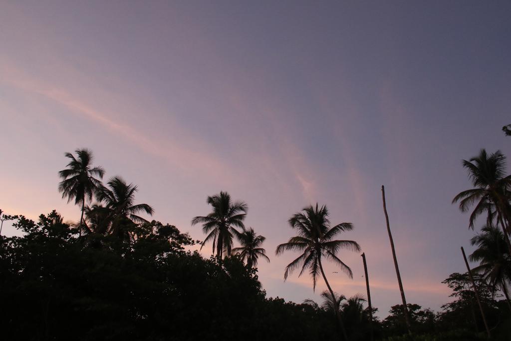Magellan Boutique Hotel Cahuita Exteriér fotografie