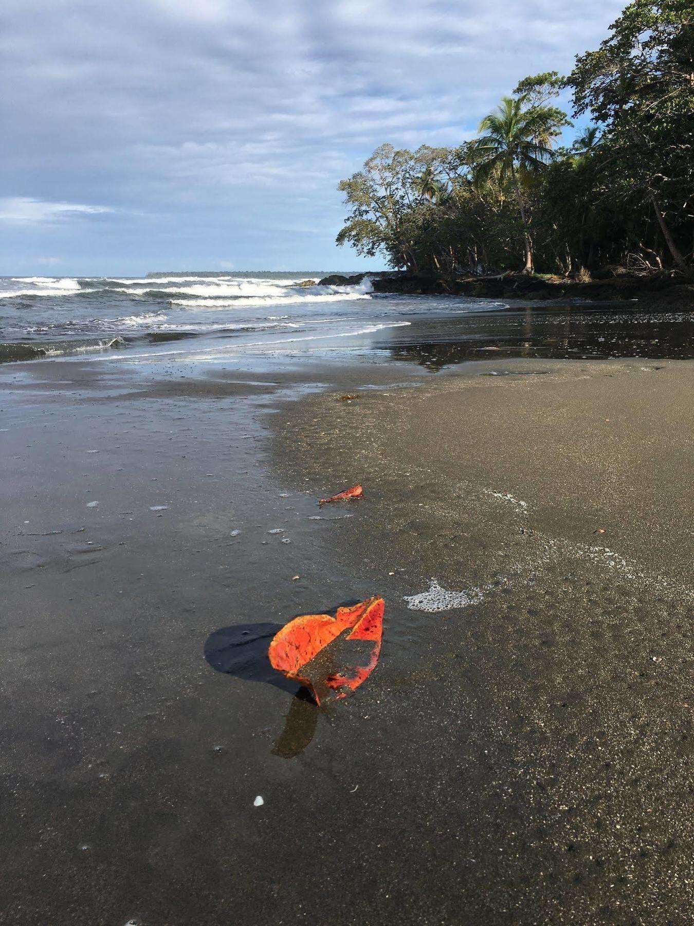 Magellan Boutique Hotel Cahuita Exteriér fotografie