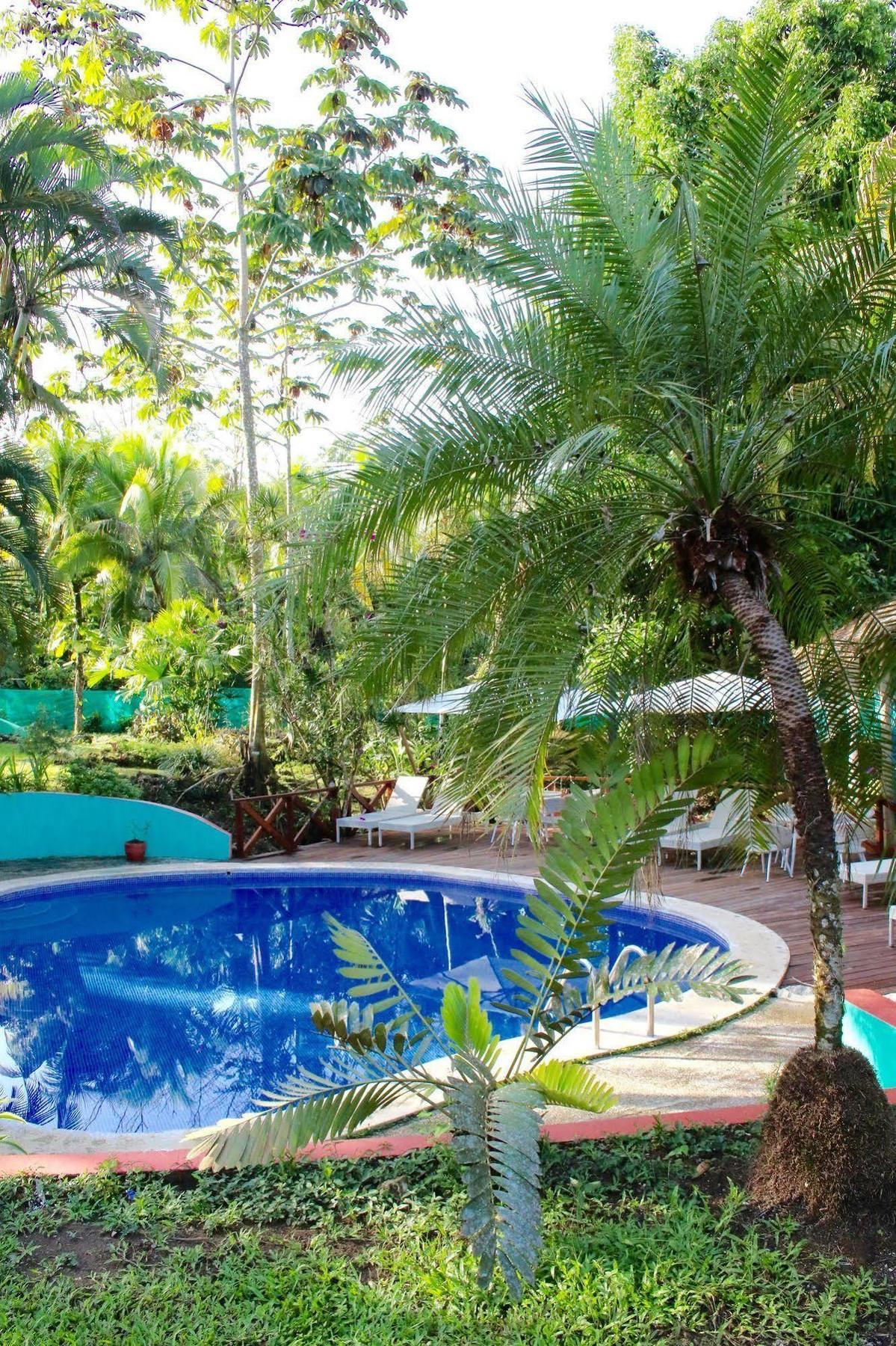 Magellan Boutique Hotel Cahuita Exteriér fotografie